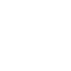 icon home